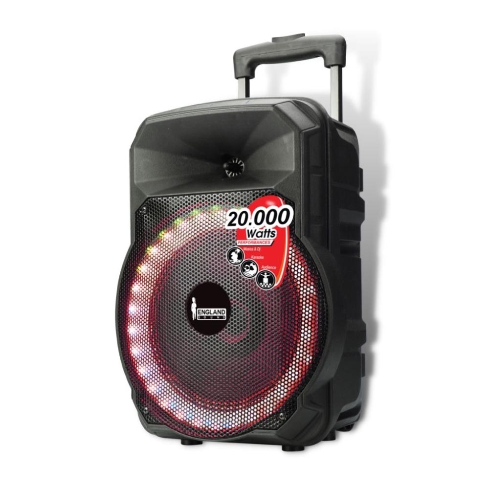 PARLANTE ES-RHYTHMIC 10PULGADAS ENGLAND SOUND